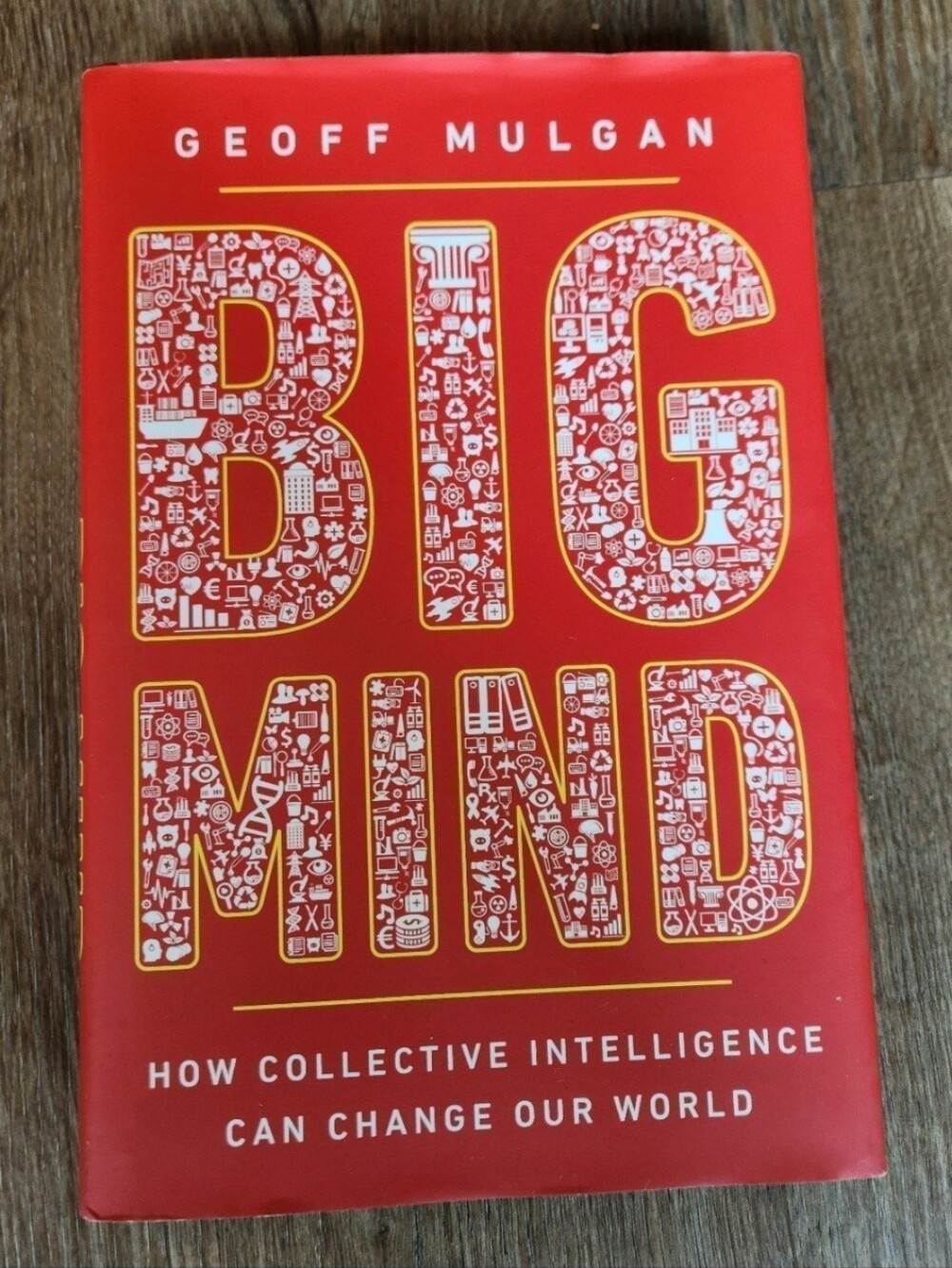 Big Mind: How Collective Intelligence Can Change Our World by Mulgan, Geoff